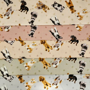 XIWiy1mJbgnzIbNXnvarious@dogs`킢``5color`
