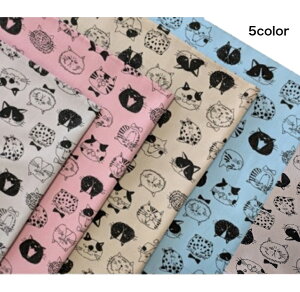 XIWi1mJbgnIbNXnubNFACE˂`5color`