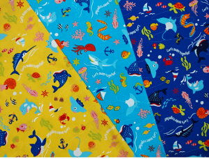 XIWiwy1mJbgnzIbNXn jC̒ԕ2022@`3color`