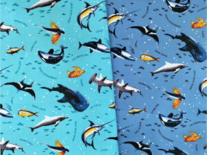 XIWiwy1mJbgnzIbNXnGo aroundȕ2023`2color`