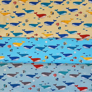 XIWiwy1mJbgnzIbNXnƂڕ2025`3color`