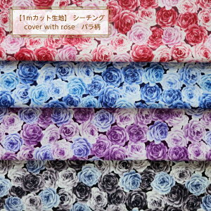 �y1m�J�b�g���n�z�V�[�`���O���ncover with rose �o�������`4color�`