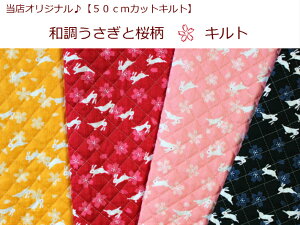 yXIWi50cmJbgLgzyaƍLgzJapanese/{/aςDi1109j