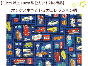 LN^[ny30cmȏォw\A10cmPʃJbgOKzyIbNXng~JRNVzВp/ʉobO/bXobO/sO[G6079/(11372)
