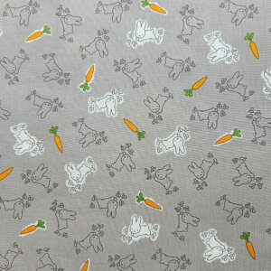 ynM50cmJbgnzV[`OnDickBruna~btB[/O[G-2020-1C