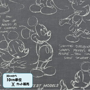 y30cmȏォ10cmPʃJbgnzWK[hn~bL[}EX/O[G-7423-1C