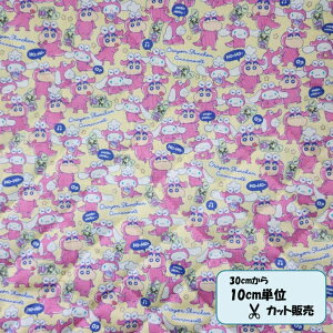 !Iy30cmȏ10cmPʃJbgΉzLgnN񂿂×Vi[R{/N[GQ-8933-1B