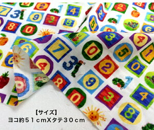 I_uK[[niTCY^e30cmXR51cmj͂؂ނ`zCg`