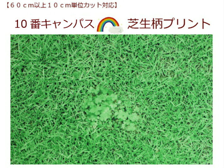 楽天市場 ６０cm以上から購入可能 １０cm単位カットok １０番キャンパス地 芝生柄 カバーリング 小物作り芝生でゴロン H 3037 1 1332 パンプキンスタジオ