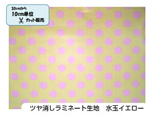 y30cm10cmPʃJbgΉzc~l[gnyʃCG[z~l[g/rj[R[eBO/z/IbNX/|/g[gobO/bXobO/`}bg/e[uNX