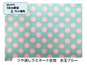 y30cm10cmPʃJbgΉzc~l[gnyʃu[z~l[g/rj[R[eBO/z/IbNX/|/g[gobO/bXobO/`}bg/e[uNX