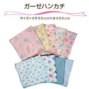 yXIWi wɁzK[[nJ`TCY^e30cmXR30cm