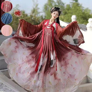    nEB RXv ؕ  vg `CihX Xe[Wߑ tZbg ㉺3_Zbg uEX+XJ[g+HD Ñߑ 受 lp `Ci fB