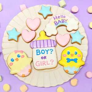 BOY? OR GIRL? ZbgyЂ悱zWF_[r[ ACVONbL[ 킢 NbL[ َq ʔ\ NbL[ P[LfR[V DPj TvCY j̎q ̎q Cxg 