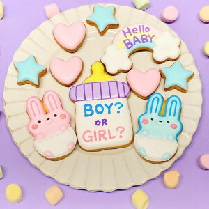 BOY? OR GIRL? ZbgyzWF_[r[ ACVONbL[ 킢 NbL[ َq ʔ\ NbL[ P[LfR[V DPj TvCY j̎q ̎q Cxg 