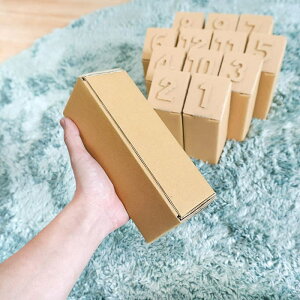 モルック ダンボール 遊具 工作 日本製 遊具 ゲーム キット 段ボール 子供 おもちゃ 室内 運動 工作 おうち 誕生日 部屋 キッズ ルーム 孫 休園 祭 イベント 子供会 幼稚園 小学生 遊び ワーク