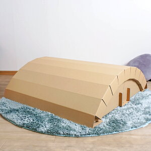 丸型 スロープ 大きい 大型 ダンボール 遊具 日本製 段ボール 子供 おもちゃ プレゼント 室内 工作 親子 乗る 孫 ギフト 運動 4人 5人 遊び イベント 幼稚園 保育園 学校 祭 行事 punnyほいく 沢