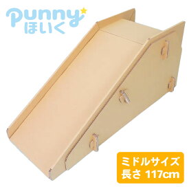 punnyほいく すべり台【M】 耐荷重80kg キッズ 子ども 大人も乗れる ダンボール 遊具 大型 日本製 段ボール キット おもちゃ ギフト 孫 プレゼント 室内 運動 工作 すべりだい 遊び 託児 誕生日 トミタパックス 幼児 小学生 幼稚園 夏 休み 帰省 自由研究