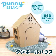 ダンボール ハウス 日本製 遊具 キット 段ボール 子供 おもちゃ プレゼント 室内 運動 工作 おうち時間 …