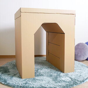 トンネル 大きい 大型 ダンボール 遊具 日本製 段ボール 子供 おもちゃ プレゼント 室内 工作 親子 乗る 孫 ギフト 運動 4人 5人 遊び イベント 幼稚園 保育園 学校 祭 行事 punnyほいく 施設 祭