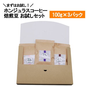 オーガニックコーヒー・初回限定お試しセット 100g ×3パック 焙煎豆 ホンジュラス スペシャルティコーヒー