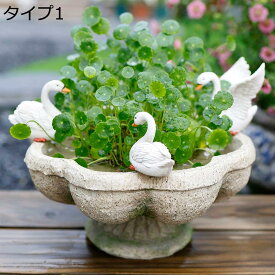 【全店10％OFFクーポン】多肉植物 花 ポット ホームガーデン 部屋 テーブル 装飾 アンティーク風 フラワーポット インテリア F 植物 鉢 陶器 鉢 用 植物 水耕栽培 タイプ1 プランター 保育園 サボテンポット 水耕栽培 水抜き穴なし 置物ガーデンオブジェ アヒルオブジェ