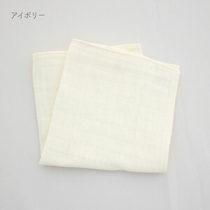 { ӂzCbvK[[ nJ`  100 V Ԃ xr[ ɗD @ ۈ牀 zCg AC{[ B^I 33×33cm t  H ~ v[| oY PUPOy[OK(02)