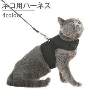 L n[lX Ȃ  [h _ubN bV Lp lR Lbg ˂ ^ 킢 o  U Oo ʉ@ ЊQ  ybg  Lpi ȒPE  Zbg 