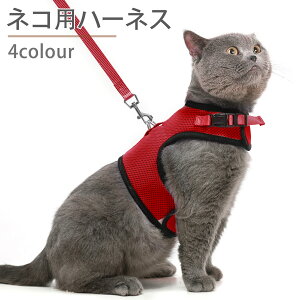 L n[lX Ȃ  [h _ubN bV Lp lR Lbg ˂ ^ 킢 o  U Oo ʉ@ ЊQ  ybg  Lpi ȒPE  Zbg 