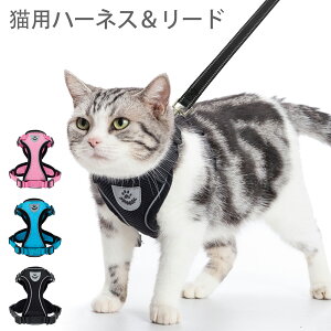 Lp n[lX [h Zbg U ˃Xbevt o ɂ 킢  nht 3  _ubN bV lR Lbg ˂ ^ o Oo ʉ@ 