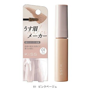 [ցEKISS(LX) [J[ 01 sNx[W