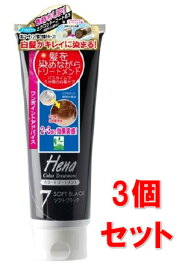 ■3個セット・送料無料■数量限定！テンスター ヘナ カラートリートメント ソフトブラック(250g)　白髪染め【AA】