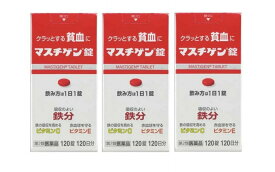 ■3個セット・数量限定・送料無料■【第2類医薬品】マスチゲン錠 120錠