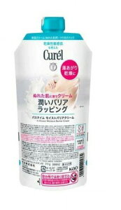 ʌ! L oX^CCXgoAN[ p(310g)