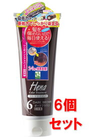 ■6個セット・送料無料■数量限定！テンスター ヘナ カラートリートメント ダークブラウン(250g)　白髪染め