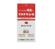 □数量限定・送料無料□【第2類医薬品】マスチゲン錠 120錠