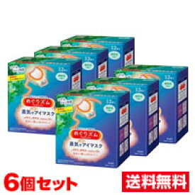 ■6個セット・送料無料■ 数量限定！花王 めぐりズム 蒸気でホットアイマスク 森林浴の香り 12枚入【AA】