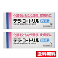 ●2個セット・メール便・送料無料●数量限定！【指定第(2)類医薬品】テラ・コートリル軟膏a(6g)代引き不可