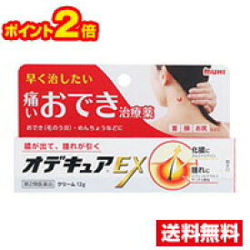 ☆メール便・ポイント2倍・送料無料☆数量限定！【第2類医薬品】オデキュアEX(12g) 代引き不可