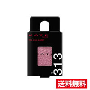 [ցEJl{E PCg U ACJ[ G313 AWXgp[v@s