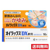 ☆メール便・送料無料☆数量限定！第一三共ヘルスケア【指定第(2)類医薬品】オイラックス DX軟膏(16g)代…