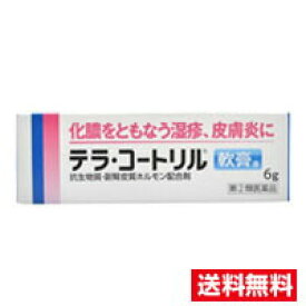 ☆メール便・送料無料☆数量限定！【指定第(2)類医薬品】テラ・コートリル軟膏a(6g)代引き不可