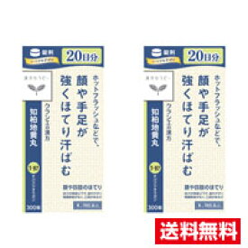 ■2個セット・送料無料■【第2類医薬品】JPS知柏地黄丸料エキス錠N（300錠）クラシエ