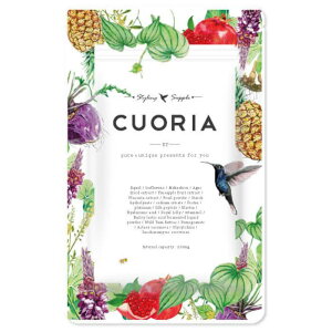 pupustoreyzCUOIRIA-NIA-(1)  Tv e Tvg N z GXgQ }`r^~ }` r^~ XgX I[KjbN L@ fB[X 30 40 50 