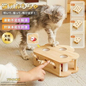 猫用おもちゃ ネズミおもちゃ 猫おもちゃ 打ち出し式 猫用玩具 ひとり遊び 知育玩具 運動不足対策 ストレス発散 狩猟本能を刺激 木製 天然木 3穴 5穴 8穴 レバー式 サイドホール付き ねずみ玩具 猫じゃらし 猫用知育トイ 室内遊び もぐらたたき