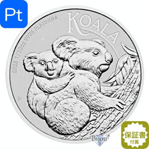 v`i RA RC 1/10IX 3.11g 2023N I[XgA ۏ؏t NAP[X