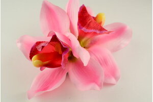 CLI[LbhFL wANbv@ԁ@ԁ@wAANZT[@wAANZ@wbhANZ@wAAW@@fB[X@߁@@Ղ@čՂ@ԉΑ@tFX@AbvX^