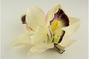 CLI[LbhFL wANbv@ԁ@ԁ@wAANZT[@wAANZ@wbhANZ@wAAW@@fB[X@߁@@Ղ@čՂ@ԉΑ@tFX@AbvX^