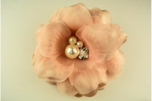 COS2 RT[W@wART[W@ԁ@t[@p[@wAANZ@wAAW@fB[X@@Ǝ@@w@@2@I@tH[}