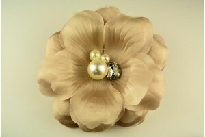 COS2 RT[W@wART[W@ԁ@t[@p[@wAANZ@wAAW@fB[X@@Ǝ@@w@@2@I@tH[}